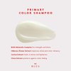 R+Co BLEU Primary Color Shampoo – Locks in Color, Hydration, and Shine, Seals Cuticle, Adds Strength to Protect Against Breakage, Maintains Vibrancy, 8.5 oz