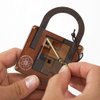 The Einstein Collection Lock Puzzle - Tricky Padlock Brain Game - Professor Puzzle 3D Brain Teaser Puzzles