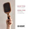 Kent PF18 Medium Cushion Paddle Brush - Detangling for Fine, Long, Thick and Curly Hair, Scalp Massager and Growth Stimulator, Wet or Dry Use. Made in England
