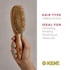 Kent LC4 Finest Hair Brushes for Women Detangler Dry Brush Made of Cherrywood - Boar Bristle Oval Hairbrush for Medium Thick Hair of All Lengths - Salon Style Straightening Pure Wood Brush from Kent