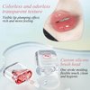 Glacier Lip Oil Silicone Brush Head,Moisturizing Lip Plumper Cherry Lip Glaze,Nourishing Long Lasting,Repairing Lightening Lip Lines for Lip Care and Dry Lips(Clear)
