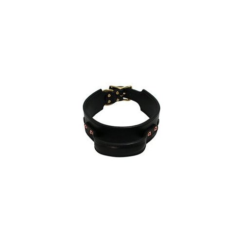 Auburn Leathercrafters Leather Quick Grab Dog Collar 2-3/8x20-20 - Black