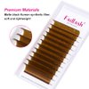 easy fan Volume Lashes,Curl Volume Lash Extensions 8-14mm Mixed Tray Brown Color Blooming Eyelash Extension Volume (Blond 0.07-D, 8-14mm)