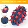 CoubonTail Dog Toy Ball, Dog Spiky Toy Ball with Squeaker, for Floating Chewing Fetching and Interactive Play (2pc Kit)