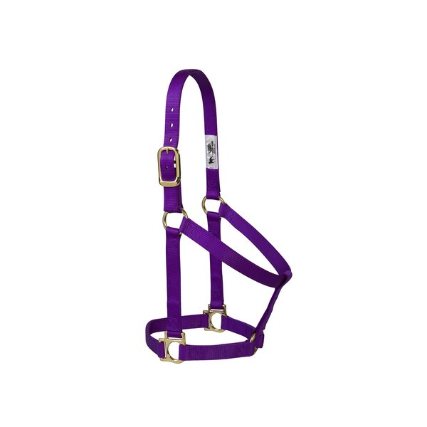 Weaver Leather Basic Non-Adjustable Nylon Horse Halter, Purple, 1" Average Horse