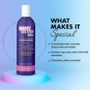 One 'n Only Shiny Silver Ultra Color-Enhancing Conditioner, Restores Shiny Brightness to White, Grey, Bleached, Frosted, or Blonde-Tinted Hair, Protects Hair Color - 12 Fl. Oz