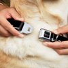 Dog Collar Seatbelt Buckle Barracuda Script Logo Black Silver 13 to 18 Inches 1.5 Inch Wide