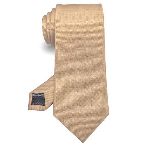 RBOCOTT Silk Champagne Tie Business Wedding Formal Necktie for Men (Champagne)