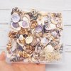 Julie Wang 1 Box of 200pcs Small Shell Conch Starfish Natural Tiny Ocean Seashells for DIY Miniature Beach Critter Decor Arts Crafts Projects Fish Tank Vase Filler