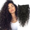 Doren Deep Curly Clip In Human Hair Extensions for Women 8Pcs 20Clips 120g Remy Brazilian Water Wave Hair Natural Black 16 Inches