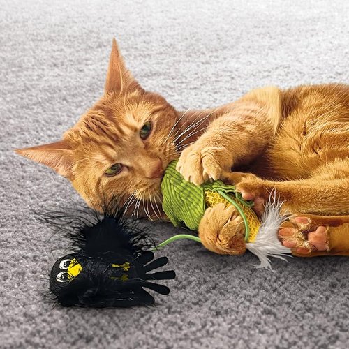 KONG Flingaroo Corny Corn Cob with Crow - Plush Cat Toy with Feathers and Catnip