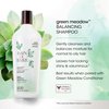 Bain de Terre Green Meadow Balancing Shampoo, Gentle Cleansing for Soft, Silky Hair with Argan & Monoi Oils, Paraben-free, Color-Safe, 13.5 Fl Oz