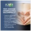HAZEL'S Choice Akkermansia Probiotic Supplement (30 Count (Pack of 1))