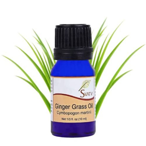 SVATV Ginger Grass Essential Oil Therapeutic Grade Aromatherapy Oils Fragrance Oil for Diffuser Yoga Massage & DIY Personal Care 10 ml