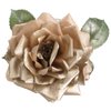 Charisma Open Rose Artificial Flower Hair Clip/Pin Brooch (Champagne)