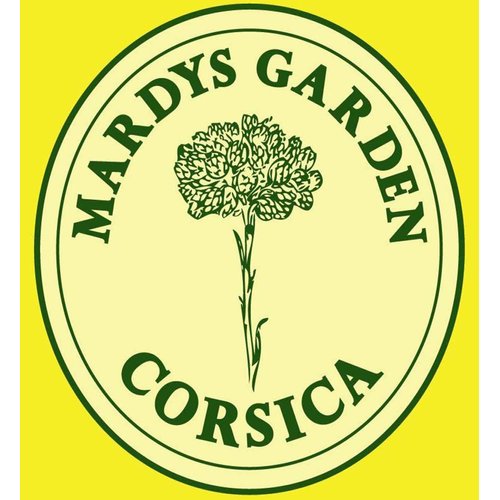 Super SERUM Immortelle Anti Wrinkle 15ml enriched in Organic Essential Oil Helichrysum ITALICUM