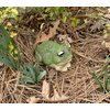 Top Brass Chunky Frog Key Hider Figurine - Cute Toad Garden Statue with Secret Compartment - Indoor/Outdoor