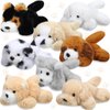 Sumind 8 Pieces Plush Dogs 5 Inch Stuffed Animals Bulk Assorted Cute Stuffed Dogs Small Animal Plush Toys for Girls Boys Graduation Valentine School Classroom Party Supplies Favors(Long Hair Dog)