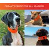 SPOT THE DOG! Reflective Dog Collar - Adjustable Pet Collars, Safe, Durable, Comfortable Dog Walking Accessories for Small Dog, Hunting Dog, Puppy, Lightweight Boy, Girl Dog Collars (Blaze Orange, S)