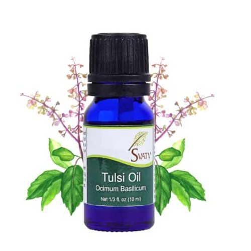 SVATV Tulsi/Holy Basil Essential Oil Therapeutic Grade Aromatherapy Oils Fragrance Oil for Diffuser Yoga Massage & DIY Personal Care 10 ml