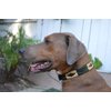 Gaucho Goods Leather Dog Collar - Palm Desert (S)