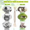 GBSYU 5 Pack Silvervine Cat Toy, Silvervine Sticks Cat Toys for Indoor Cats, Cat & Kitten Chew Toys for Aggressive Chewers, Cat Dental Toy for Kitten Teeth Cleaning, Matatabi Silvervine for Cats