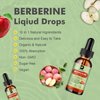 B BEWORTHS Berberine HCL Supplement with Ceylon Cinnamon - Berberine Phytosome Liquid Drops with Turmeric, Ceylon Cinnamon, Bitter Melon, Milk Thistle, Berberine Supplement for Digestion Support