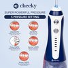 Cheeky Cordless Water Flosser with 5 Floss Heads, 5 Pressure Modes, and Rechargeable Battery, 300 mL Water Tank, Deep Tooth and Gum Cleaning
