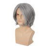 RicHyun Mens Grey Wig Short Grey Wig Side Part Synthetic Hair Replacement Wig for Daily Party Costume Halloween