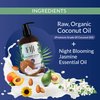 Coco Fiji Face & Body Lotion Infused With Coconut Oil | Lotion for Dry Skin | Moisturizer Face Cream & Massage Lotion for Women & Men | Night Blooming Jasmine 12 oz, Pack of 1