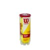 WILSON Championship Tennis Balls - Extra Duty, Single Can (4 Balls)