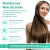 AVIVA - Biotin Conditioner, Revitalizing Hair Conditioner, Hair Growth Conditioner, Conditioner For Thinning Hair with Biotin, Argan Oil & Soy Protein, Sulfate, Paraben, & SLS-Free, 10.75 Fl Oz