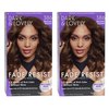 Dark & Lovely Color #386 Brown Sugar (2 Pack)