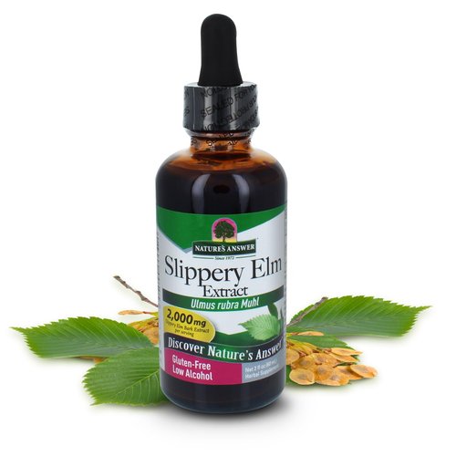 Nature's Answer Low-Organic-Alcohol Slippery Elm 2oz Extract | Herbal Supplement | Supports Mucous Membranes | Demulcent Herb | Kosher | Gluten-Free | Pack of 1