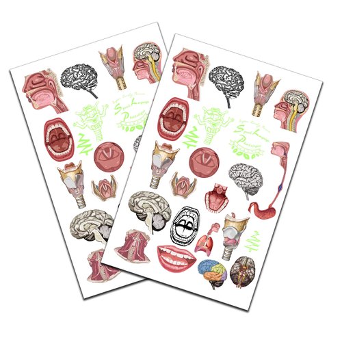 SLP anatomy body glow and color Temporary Tattoo set 2 pack