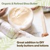 uh*Roh*Muh USDA Certified 32 fl oz Organic Shea Butter from the Netherlands | Refined, Nourishing Body Butter for Smooth and Healthy Skin (Net Wt: 0.8 kg / 1.7 lb)