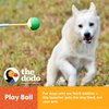 The Dodo Telescoping Ball Launcher Dog Toy with 2 Rubber Balls; Collapsible Fetching Dog Ball Toy, 9in Total Length; Dog Ball Thrower in Blue and Yellow, Portable