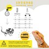 ReptiKing Basking Light for Reptiles, 2-Pack 100W Upgraded Intense Basking Spot, Reptile Basking Bulb Light, UVA Heat Lamp Bulb for Bearded Dragon Turtle Chicken