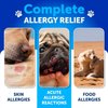 Dog Allergy Relief Chews - Itch Relief for Dogs - Fish Oil - Omega 3 - Itchy Skin Relief - Seasonal Allergies - Anti Itch Support & Hot Spots - Immune Health Supplement for Dogs - Made in USA