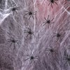 Lanfixilly 150 Pieces Realistic Plastic Spiders Small Halloween Plastic Spiders Mini Tiny Fake Spiders Halloween Funny Prank Props for Halloween Home Party Decorations Favors Supplies