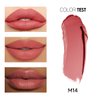 CARSLAN Matte Lipstick Hydrating Lip Color Makeup, Highly Pigmented Lipstick with Moisturizing Formula, Lightweight, Smooth, M14