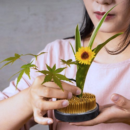 Round Flower Arrangers, 3 Pieces Flower Frog Kenzan Fixed Tools Flower Holder Floral Arrangement Pin Holder for Flower Arrangement, Fixation and Decoration (Gold, 0.91 Inch, 1.02 Inch, 2.36 Inch)