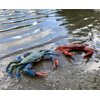 Gemini&Genius 2Pcs Crabs Marine Animal World Sea Animal Action Figure Ocean Model Toy Educational, Role Play, Cake Toppers, Swimming Toys, Bath Toys, Christmas Stocking Stuffers for Kids