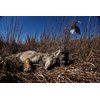 MOJO Outdoors Critter Predator Hunting Decoy - Great for Coyote and Bobcat Hunting and as a Varmint Decoy, Tail Decoy, Rabbit Decoy, etc., Super Critter