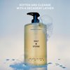 SALT & STONE Antioxidant-Rich Body Wash - Bergamot & Hinoki | Cleanse, Nourish & Soften Skin with Niacinamide & Hyaluronic Acid | Free From Parabens, Sulfates & Phthalates (15.2 fl oz)