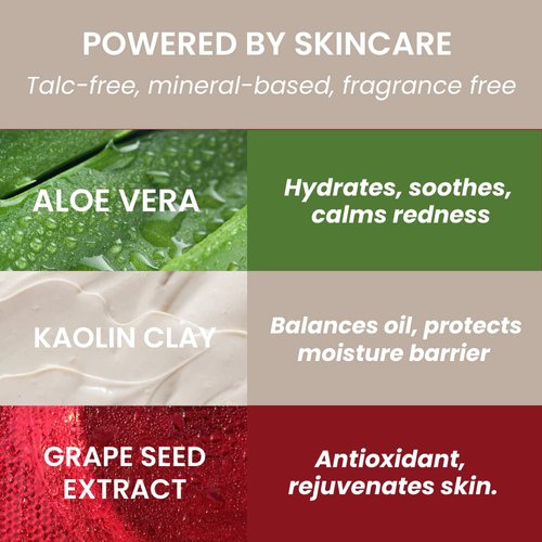 True + Luscious Sheer Halo Complexion Powder – Natural Matte Finish Foundation, Sheer to Medium Coverage – Clean, Vegan and Cruelty Free Powder Foundation – 0.32 oz