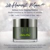SNS Nail Dip Powder, Gelous Color Dipping Powder - Green Eggs & Ham (Green) - Long-Lasting Dip Nail Color Lasts 14 Days - Low-Odor & No UV Lamp Required - 1 OZ
