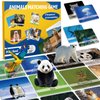 GOLDGE 120PCS Memory Match Game for Kids | Animal Theme | Educational Toddler & Preschool Activity | Boys, Girls, & Family Fun | Board Game