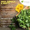 Aspen Kay Naturals Arnica and Mint soap, vegan, olive oil, shea butter, coconut oil, essential oils, palm oil, cold processed. for all skin types, sensitive skin, MADE IN THE USA (1 pack)