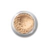 bareMinerals Well Rested Under Eye Brightener SPF 20, Loose Powder for Under Eye Brightening and Dark Circles, Mineral SPF 20, Vegan
